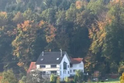 Image de Appartement dans maison mitoyenne avec vue sur les contreforts de la Forêt Noire et les Vosges