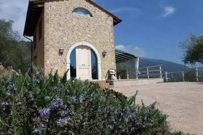Image de Super belle maison avec piscine, jardin et mobilier de bon goût.
