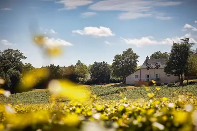 Image de La Maison du Clos du Roi, séjour au Coeur des Vignes en Bourgogne