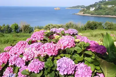 Image de Maison accès directe à la plage par le jardin.