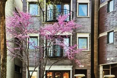 Image de Spacieux 3/2 Duplex Dans Wicker Park Area