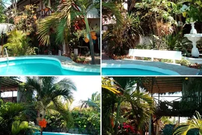 Image de Oasis tropical au bord de l'océan en Equateur