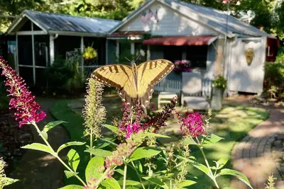 Image de Pierre De Plume! Escapade Cottage Unique à Hendersonville, N. C.