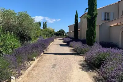Image de Réveillez-vous dans une villa française entourée d'un vignoble et d'une belle campagne