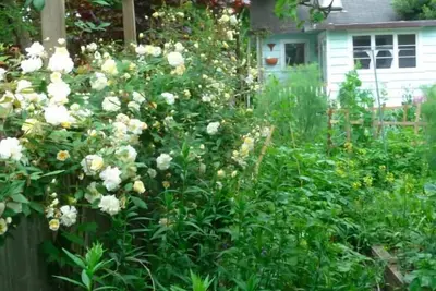 Image de The Garden Cottage. . Passez dans le temps - Découvrez la nature - avec un esprit créatif