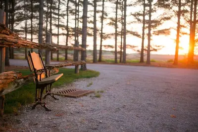 Image de Éveillez-vous à la beauté de la nature lors de la retraite Whispering Pines!