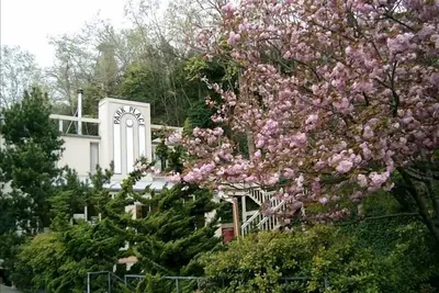 Image de Downtown Port Townsend - Hillside Penthouse Location de vacances