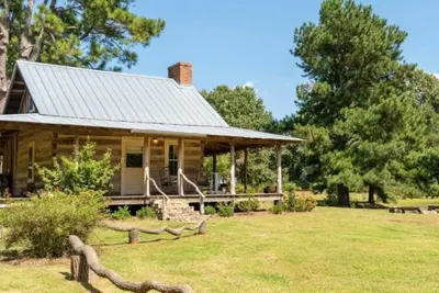 Image de Une cabane en rondins dans les pins