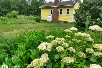 Image de Le Lemon Drop Cottage / PRIVÉ, entièrement équipé, vacances ou affaires.