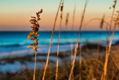 Image de Rsm Pga Nov 12-18 Nouveau Condo Luxueux Avec Vue Sur Le Lac, Excellent Emplacement 2018! #dix