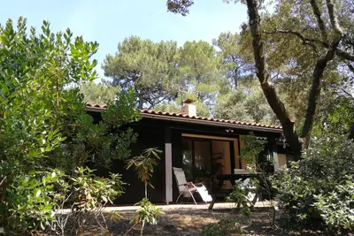 Image de Maison dans les pins à 300 m du lac et à 5 km de l'océan