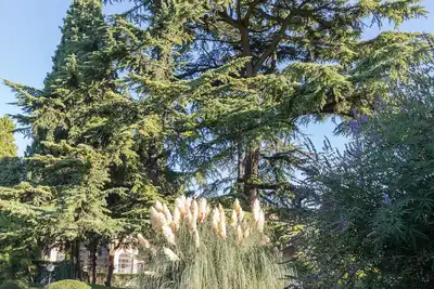 Image de Villa Cyprès, près du lac de Garde, Vérone et Gardaland