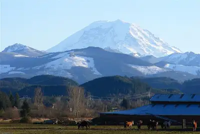 Image de Luxe de style nord-ouest près de la porte d'entrée du mont Rainier et des forêts nationales