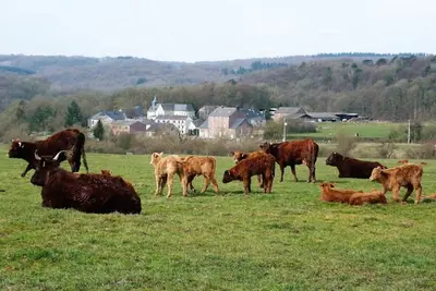 Image de Au Hameau de Xhignesse gîte luxueux 5 ch / 5 sdb : Meilleur prix garanti