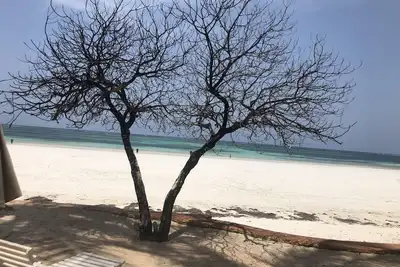 Image de Détendez-vous et rajeunissez-vous sur la côte sud du Kenya: la propriété en bord de mer peut accueillir 6 personnes,