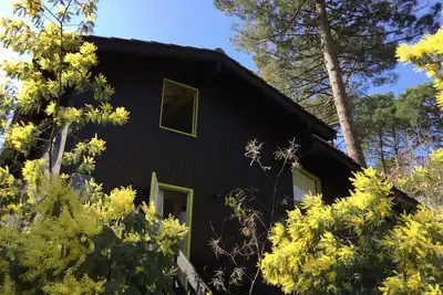 Image de Chalet en bois sur le lac de Lacanau : un havre de paix en pleine nature. . .