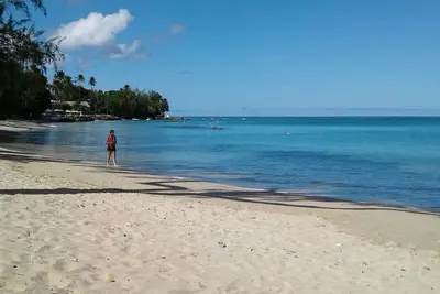 Image de Belle escapade à la Barbade ~ Promenade à la plage de Queen's Bay ~ Visite personnelle de l'île!