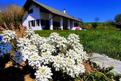 Image de Oasis De La Paix - Fin De Bien-ÊTRE Maison Famille Relax