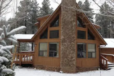Image de Belle cabane dans les pins