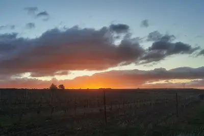 Image de Mas authentique avec piscine au milieu des vignes entre mer et montagne