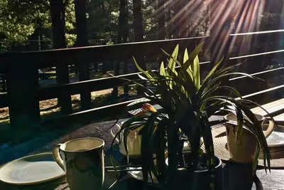 Image de Cabine nichée dans les grands pins 'Little Elk Lodge', Flagstaff, Arizona