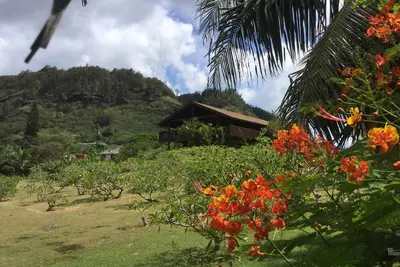 Image de Smokie Acre Blossoms - CĂ´te nord d'Oahu, Sunset Beach