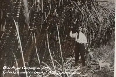 Image de Charmant cottage historique au coeur du village des volcans