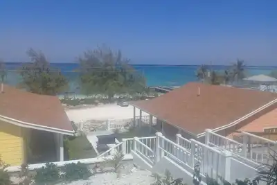 Image de Le centre de natation de cochons