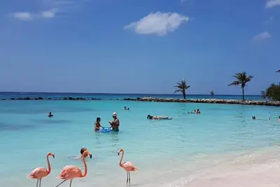 Image de Facile 0. 3 mile à pied de la célèbre bande de Palm Beach