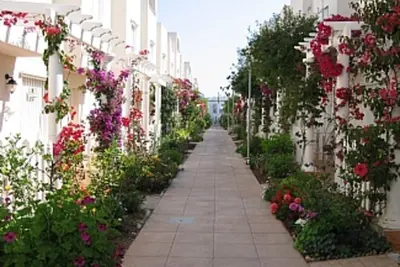 Image de Maison de ville avec terrasse sur le toit, joli complexe avec 2 piscines