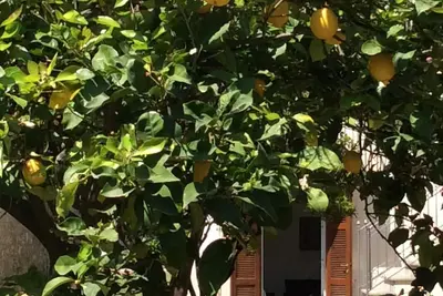 Image de Appartement dans une ancienne villa, à quelques pas de la mer