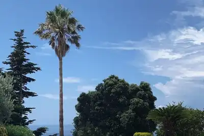 Image de Superbe villa panoramique à San Lucido, Calabre