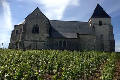Image de cottage in the middle of Champagne vineyards