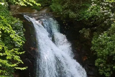 Image de Une véritable expérience de cabane en rondins