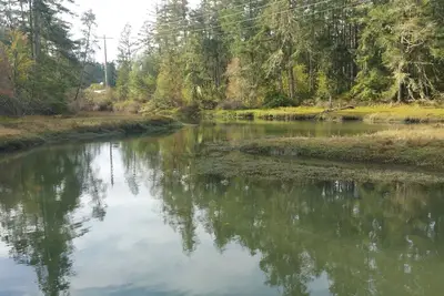 Image de Escapade sur l'île Anderson