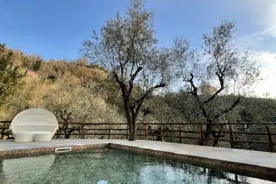 Image de Le citronnier de la famille Aprea