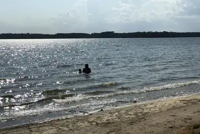 Image de Près du lac et des bateaux lance. Animaux domestiques et familles. Pêcher \/ chasser