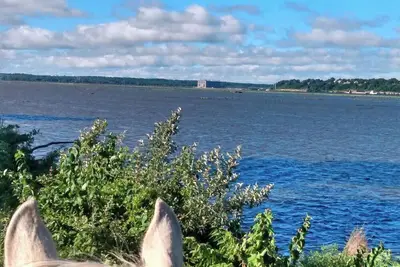 Image de Cozy Cabin Situé à 10 Mi. S de Nauvoo. Situé juste à côté du fleuve Mississippi!