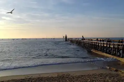 Image de Sur le port de pêche et de plaisance, Plages à 400m;Shopping Capbreton Hossegor