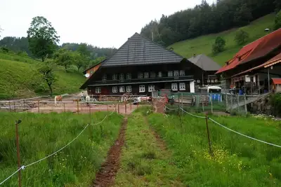 Image de Appartement / app. pour 4 personnes avec 75m² à Böllen (68454)