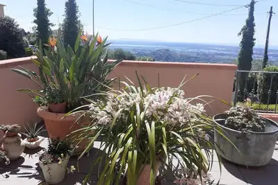 Image de Vacances dans les collines \"La Migliana\"