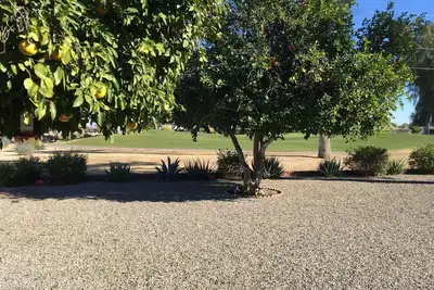 Image de Vues du terrain de golf Arizona à Sun City, 55+ Adult Community