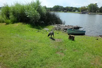 Image de Nouveau! 4 Acre Lakefront Cabin dans les grands pins