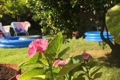 Image de Maison ancienne avec jardin - mer, détente et vacances / Casa Terra - Iun P7085