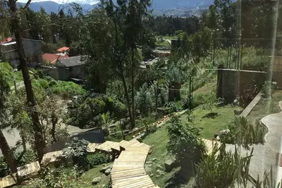 Image de Bambu Sierra