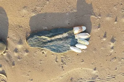 Image de le charme de la Normandie entre mer et campagne
