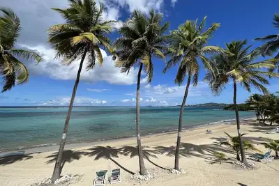 Image de Sugar Beach Condo - palmiers se balançant, une belle vue sur la mer