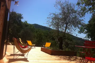 Image de Petit mas dans oliveraie avec piscine