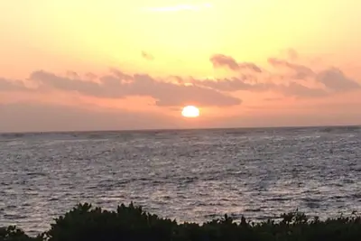 Image de Un absolu, Perfect Paradise et abordable