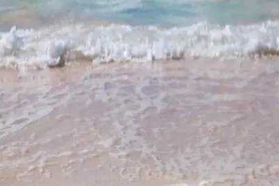 Image de 79 $ / nuit Meilleure offre sur la plage! ! Toutes les vues sur le golfe! ! ! / Téléviseur intelligent 55 pouces